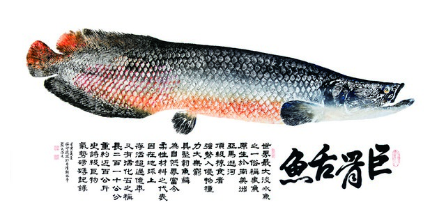 嚴尚文，巨骨舌魚240X120CM