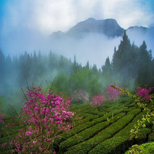 Abundance of Taiwan: the Photography Exhibition of Bank of Taiwan