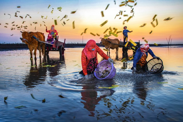 海牛祭