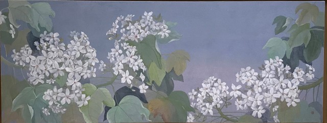 張桂蓮，油桐花，2022，100x385cm，膠彩.